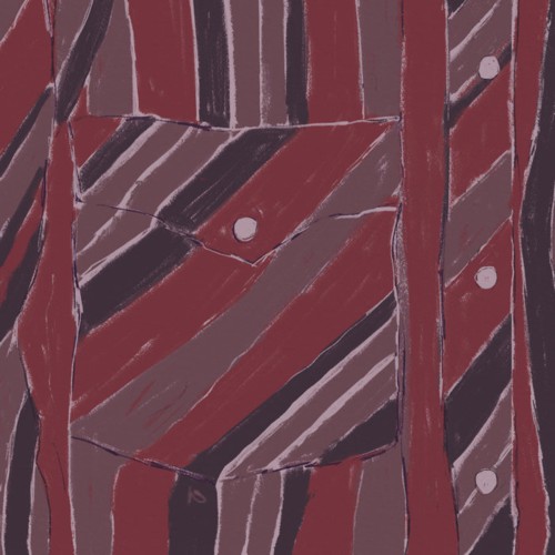 Album cover: Jake Xerxes Fussell & James Elkington – Rebuilding