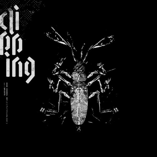 Album cover: clipping. – Dead Channel Sky