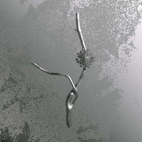 Album cover: Gaia Banfi – La Maccaia